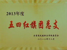2013年度五四紅旗團(tuán)總支獎