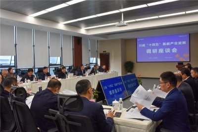 市政協(xié)主席康俊一行到川威召開(kāi)“十四五”氫能產(chǎn)業(yè)發(fā)展調(diào)研座談會(huì)