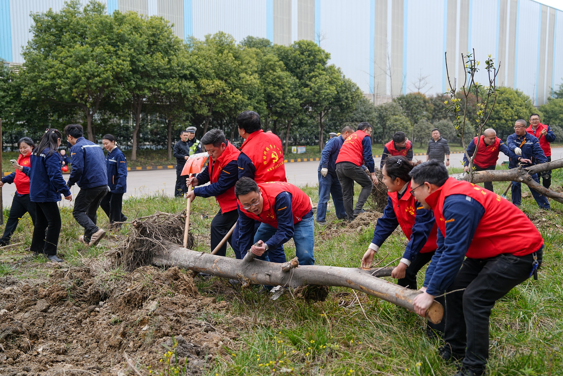 打造綠色川威 共建美好家園——釩鈦科技組織開展植樹節(jié)系列活動(dòng)(圖3)