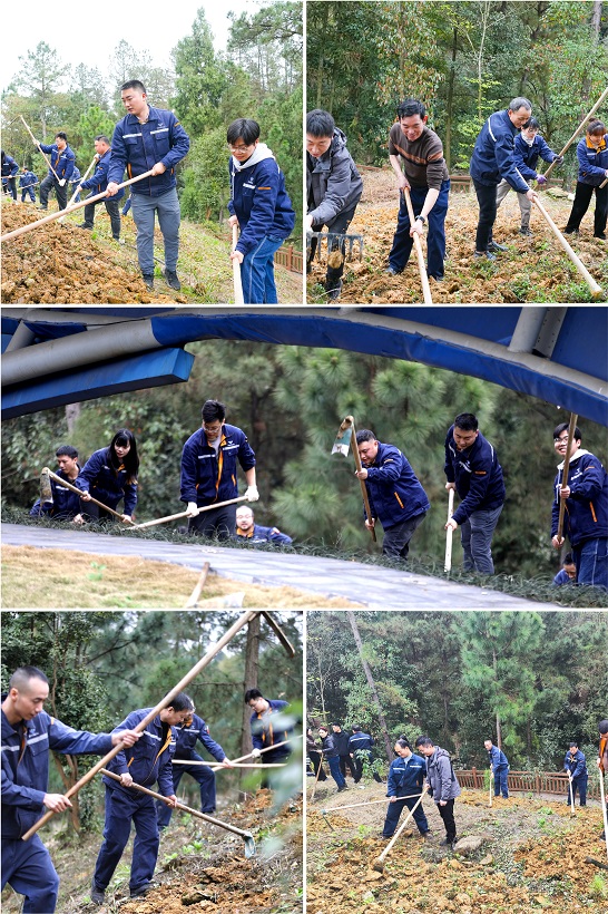 打造綠色川威 共建美好家園——釩鈦科技組織開展植樹節(jié)系列活動(dòng)(圖5)